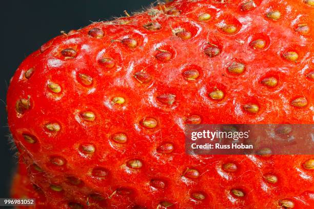 super-macro of a strawberry - supermacro stock pictures, royalty-free photos & images