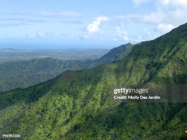 kauai mountains - jardin stock-fotos und bilder