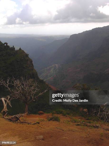 waimea canyon - jardin stock pictures, royalty-free photos & images