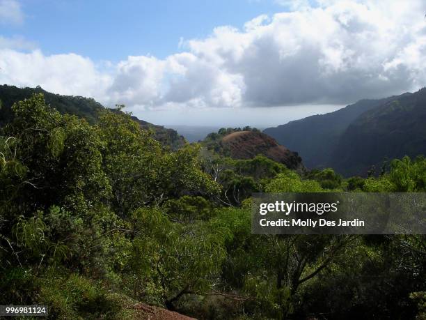 waimea canyon - waimea valley bildbanksfoton och bilder