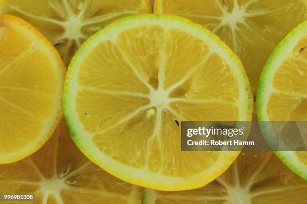 lemon slices - hamm stock pictures, royalty-free photos & images