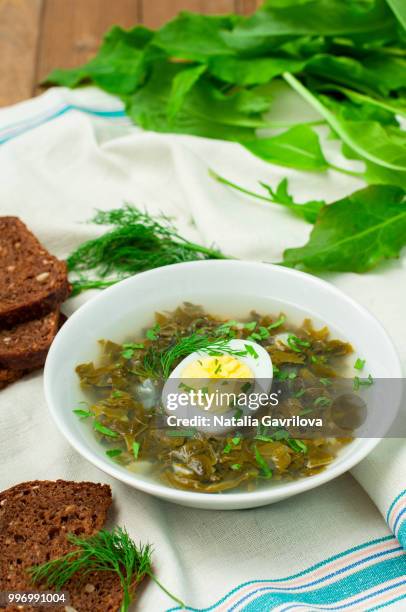 sorrel soup - gavrilova stock-fotos und bilder