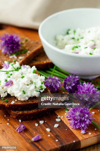 cottage cheese - gavrilova stock-fotos und bilder