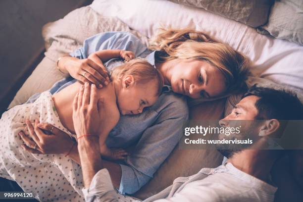 affectionate young parents relaxing in bed with little baby - man singing stock pictures, royalty-free photos & images