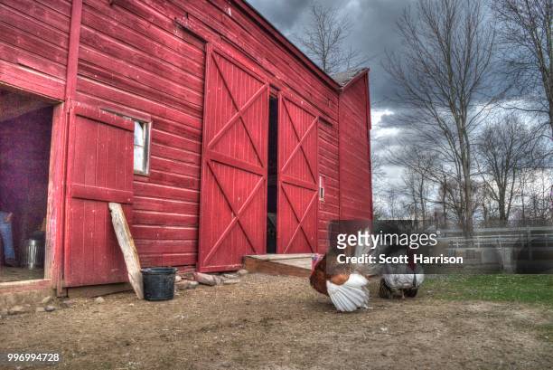 clover hill barn - harrison wood stock pictures, royalty-free photos & images