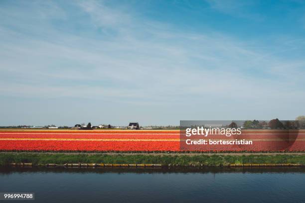 scenic view of field against sky - bortes stockfoto's en -beelden