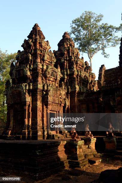 asia cambodia angkor banteay srei - banteay srei bildbanksfoton och bilder