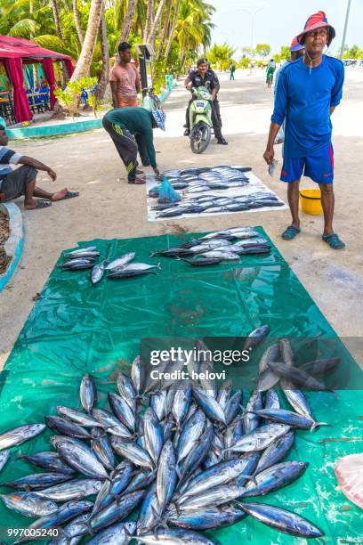 mercado de pescado en maldivas - fresh deals fotografías e imágenes de stock