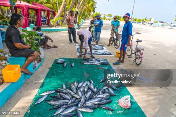mercado de pescado en maldivas - fresh deals fotografías e imágenes de stock
