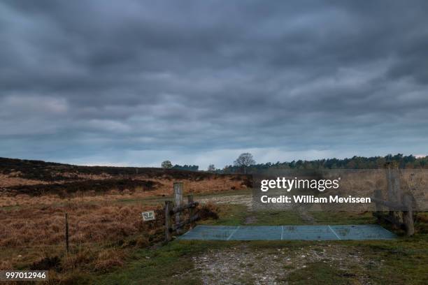 cattle grid - william mevissen fotografías e imágenes de stock