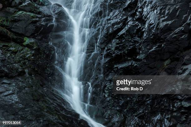 cedar creek falls in mount tamborine - cedar stock pictures, royalty-free photos & images