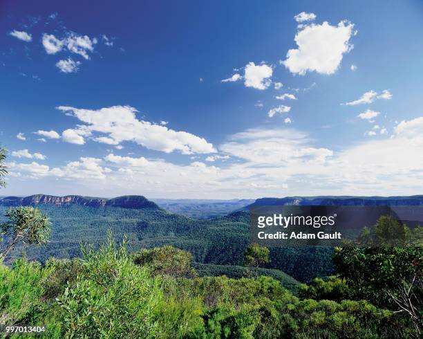 blue mountains - great dividing range stock pictures, royalty-free photos & images
