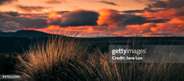 sunset clouds - jana stock pictures, royalty-free photos & images