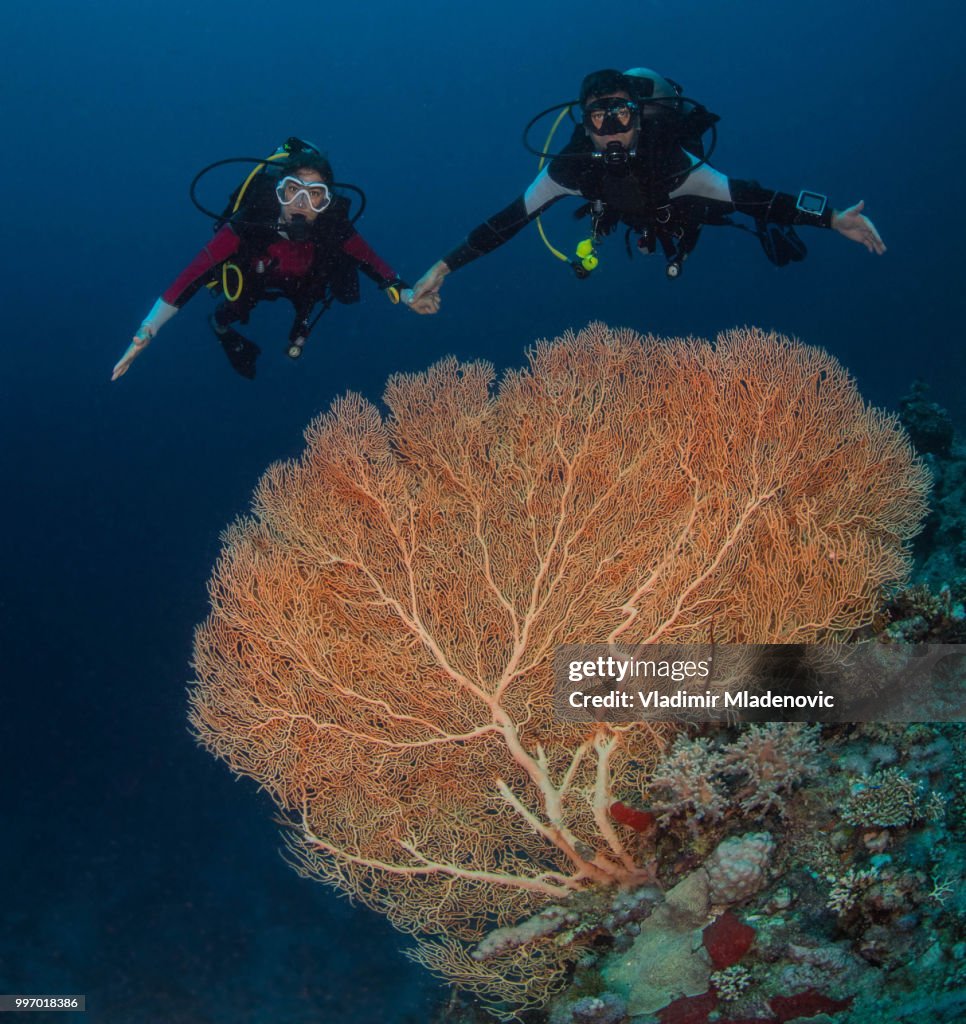 Scuba diver in natural environment