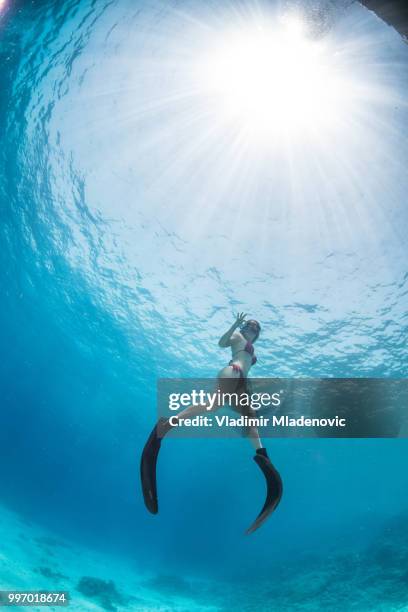 buzo en entorno natural - perspectiva de un submarinista fotografías e imágenes de stock