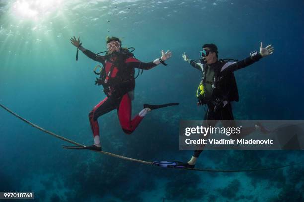 scuba diver in natural environment - red gorgonian sea fan stock pictures, royalty-free photos & images