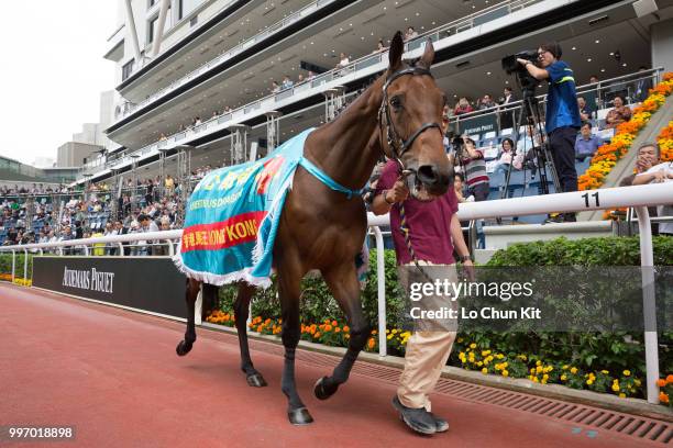 Ambitious Dragon parades for the last time at Sha Tin Racecourse in front of his faithful fans on April 26 , 2015 in Hong Kong.
