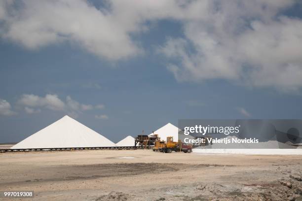 salt mining bonairo carribean island - caribisch nederland stockfoto's en -beelden