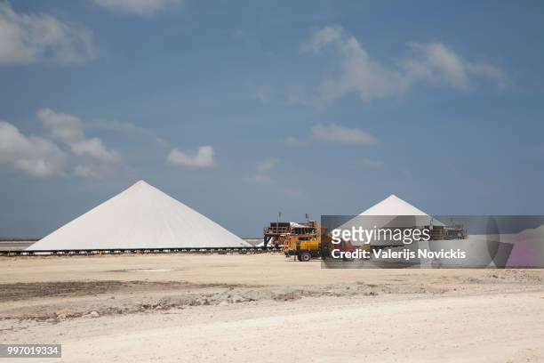 salt mining bonairo carribean island - paesi bassi caraibici foto e immagini stock