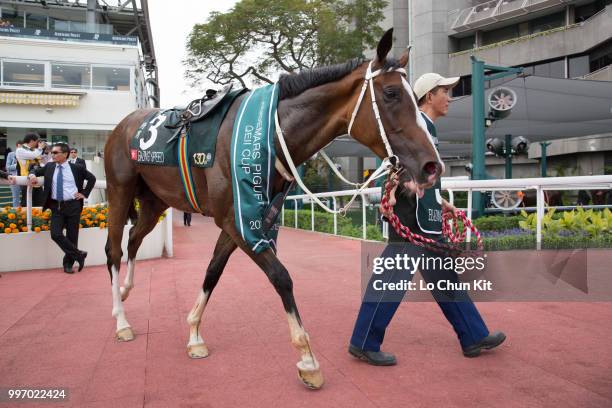 Blazing Speed wins Race 8 Audemars Piguet Queen Elizabeth II Cup at Sha Tin racecourse on April 26 , 2015 in Hong Kong.