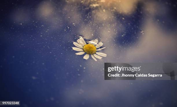 cuenca,ecuador - surround sound stock-fotos und bilder