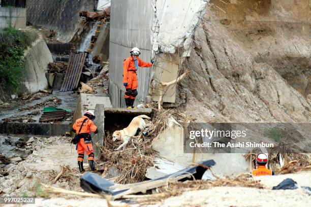 Rescue dog is brought in for the rescue operation for the missing 18-year-old boy at a landslide site on July 12, 2018 in Hiroshima, Japan. The death...