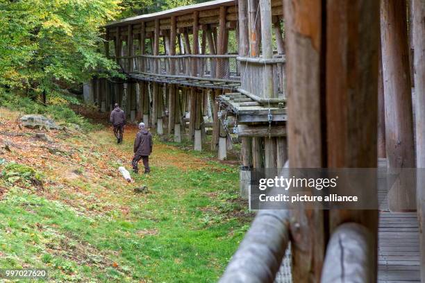 Workers control the fences surrounding a cage at the National Park Bavarian Forest near Ludwigsthal, Germany, 6 October 2017. Several wolves broke...