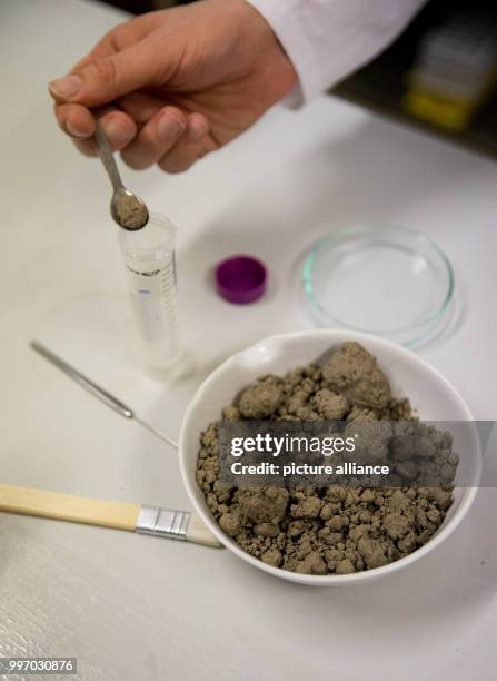 Soil Lab Examples 427 Soil Sample Lab Stock Photos, High-Res Pictures, and Images - Getty ...