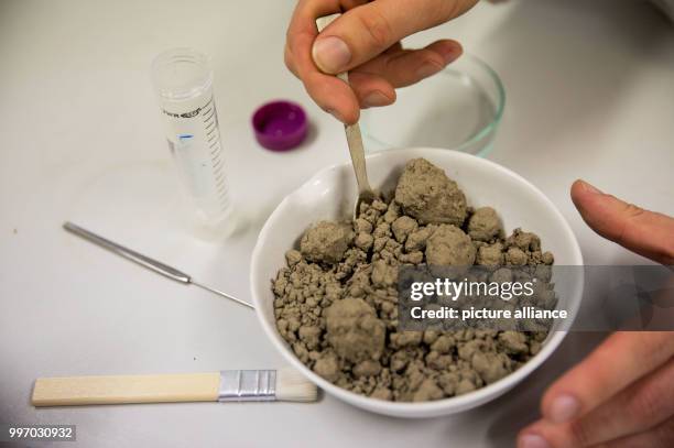 Soil Lab Examples 426 Soil Sample Lab Stock Photos, High-Res Pictures, and Images - Getty ...