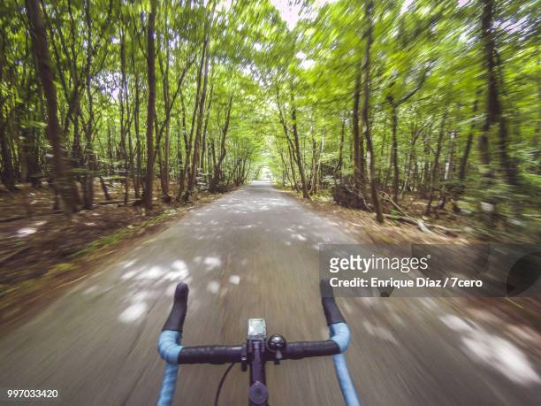 hands free cycling through the forest, england. - freihändiges fahrradfahren stock-fotos und bilder