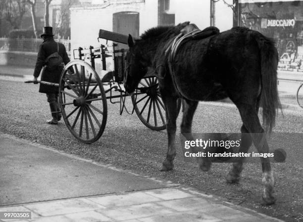 As the man seen on the photograph had just bought the horse and cart, but had no harness, he had do get between the shafts and pull both of them....