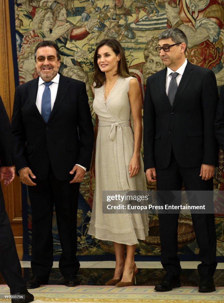 Queen Letizia Of Spain Attends Audicences At Zarzuela Palace