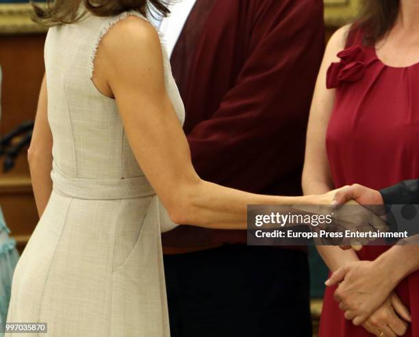Queen Letizia of Spain attends several audiences at Zarzuela Palace on July 12, 2018 in Madrid, Spain.