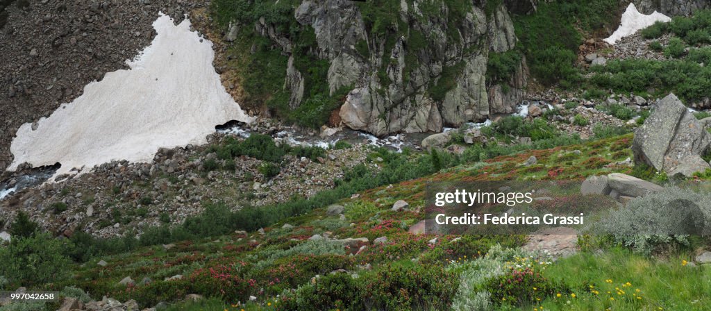 Panoramic of Mountain Stream In Anzasca Valley Near Monte Rosa