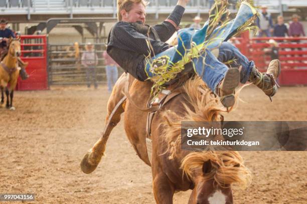 Wildest Rides Rodeo 16,256 The Wild Ride Stock Photos, High-Res Pictures, and Images ...