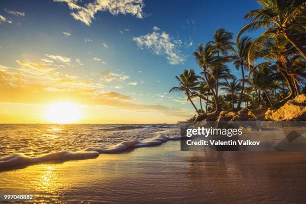 landscape of paradise tropical island beach, sunrise shot - paradise beach stock pictures, royalty-free photos & images