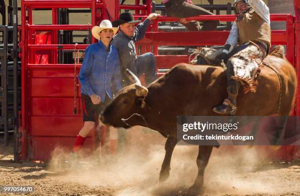 Lakeside Rodeo Bull Riding 2,931 Bull Lake Stock Photos, High-Res Pictures, and Images - Getty Images