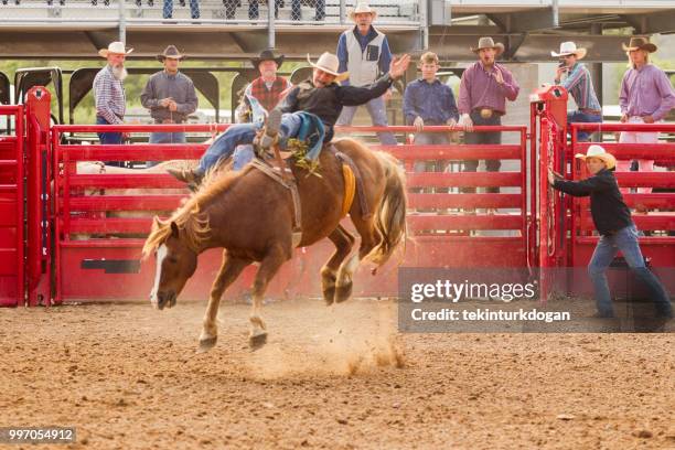 cowboys at wild horse riding competition at  rodeo paddock arena at nephi of salt lake city slc utah usa - rodeo stock pictures, royalty-free photos & images