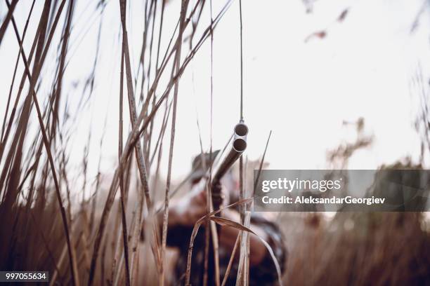 adult male hunter aiming his weapon at prey - hobby bird of prey stock pictures, royalty-free photos & images