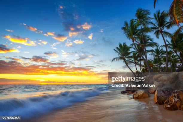 landscape of paradise tropical island beach, sunrise shot - paradise beach stock pictures, royalty-free photos & images