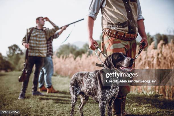 group of hunters and hunting dog walking through swamp - hobby bird of prey stock pictures, royalty-free photos & images