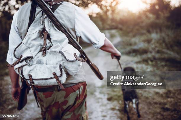 pointer dog leading hunter close to bird prey - bird hunting stock pictures, royalty-free photos & images
