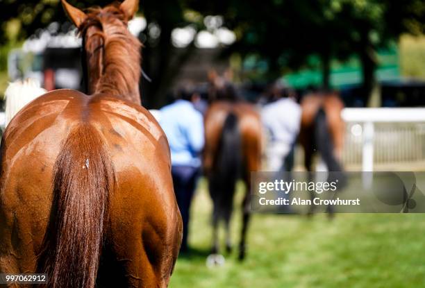 General view as runners return to the washing down area at Newmarket Racecourse on July 12, 2018 in Newmarket, United Kingdom.
