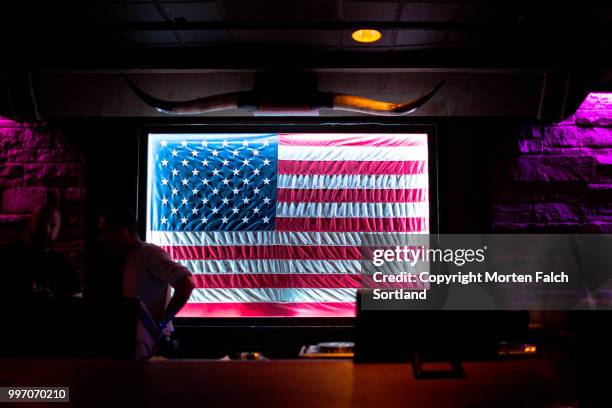 longhorns and american flag - bartlett illinois stock pictures, royalty-free photos & images