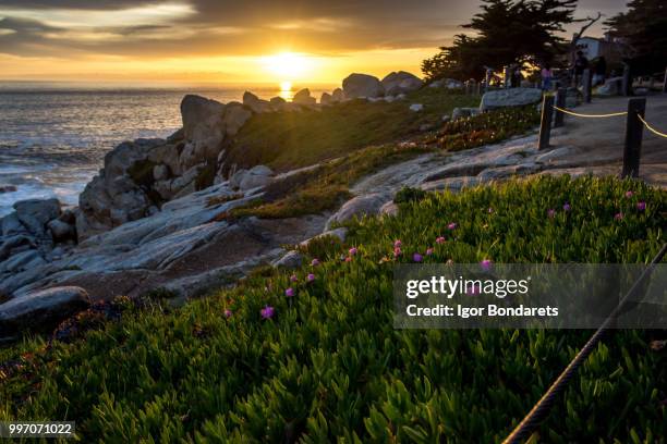 17 Mile Drive High-Res Stock Photo