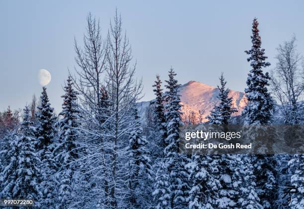 snow mt and moon - my gosh stock pictures, royalty-free photos & images
