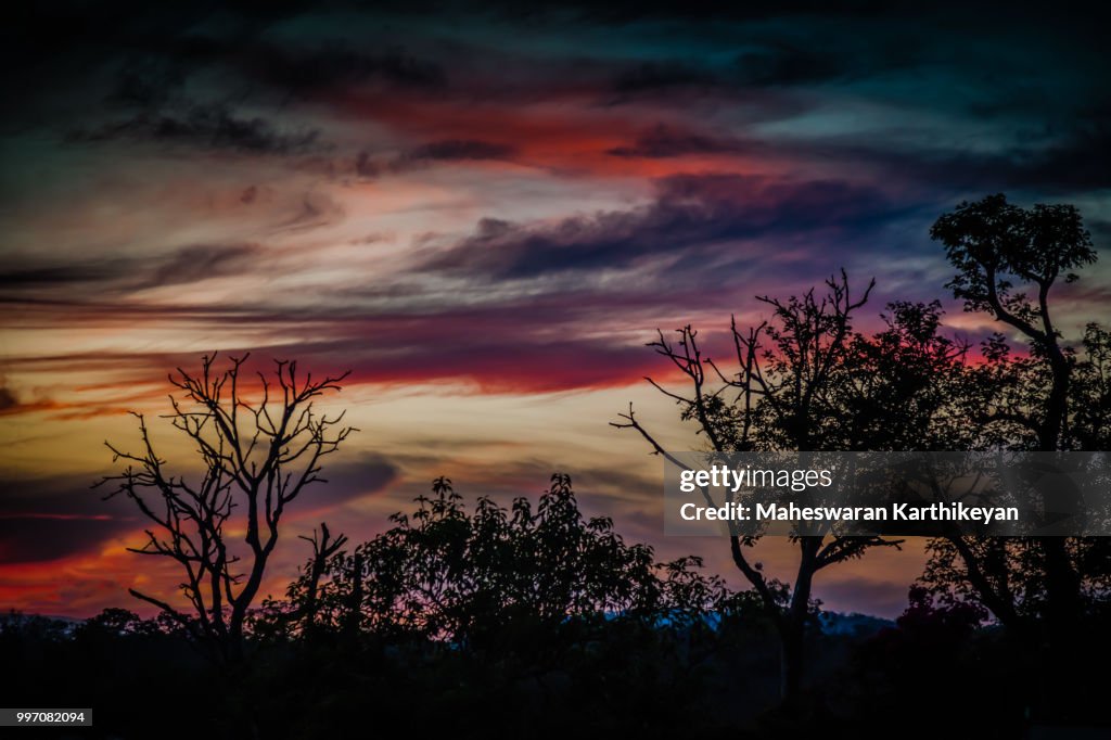 Evening Sky