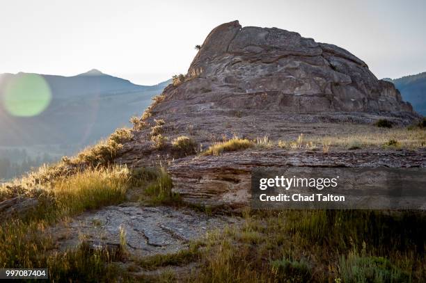 soda butte in yellowstone - soda bildbanksfoton och bilder