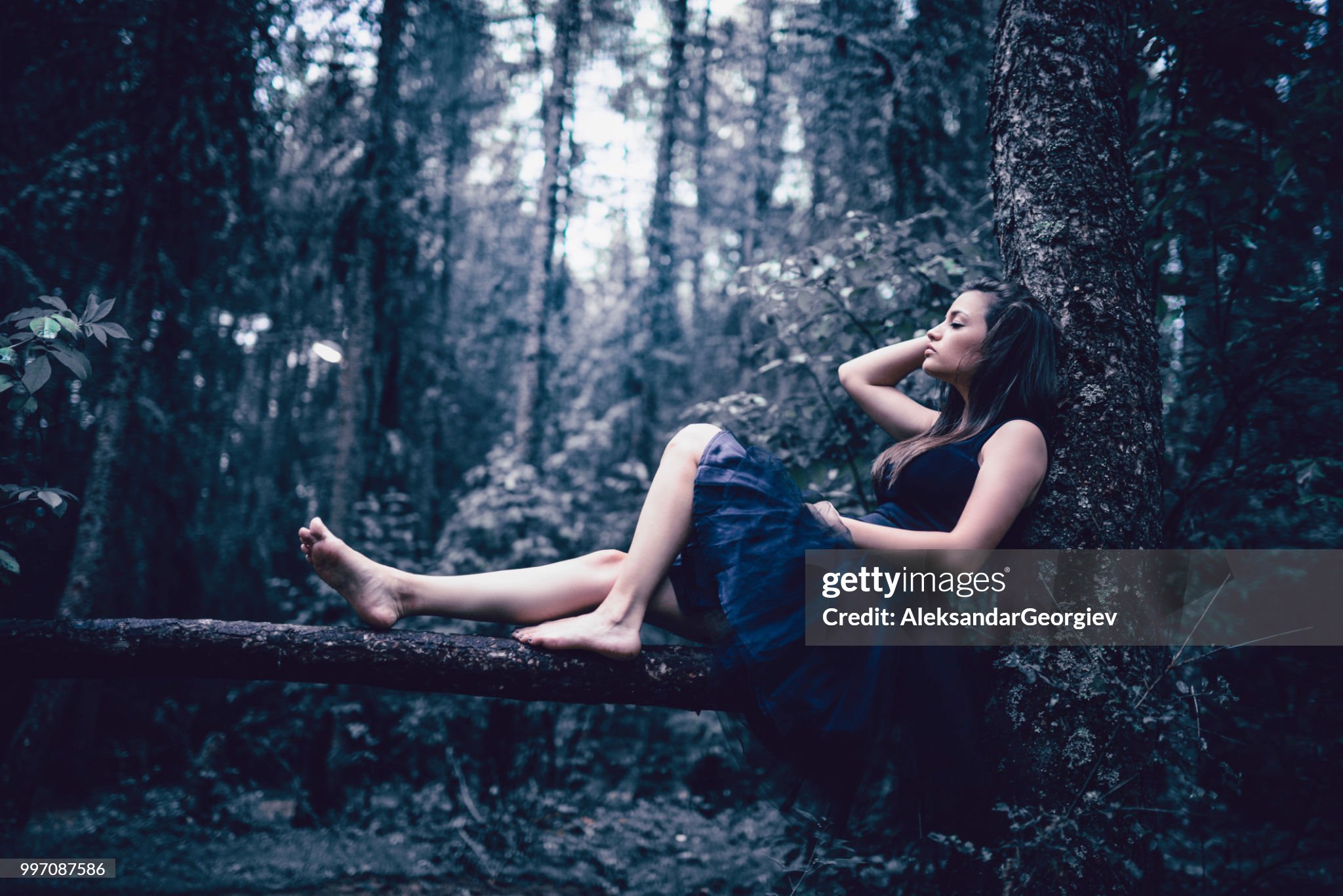 https://media.gettyimages.com/id/997087586/photo/cute-barefoot-female-sitting-on-branch-in-rainforest.jpg?s=2048x2048&amp;w=gi&amp;k=20&amp;c=hfoZ2zUNrlPlxCn_zbNybPwKePRv3SithADRL-1jphY=