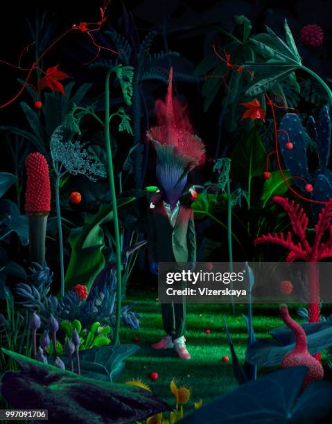 195点のショクダイオオコンニャク 写真のストックフォト Getty Images 195点のショクダイオオコンニャク 写真のストックフォト Getty Images